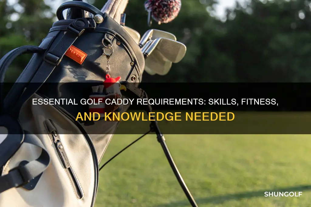 what are the requirements to be a golf caddy