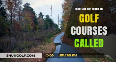What Are Golf Course Roads Called? Unveiling the Term 'Cart Paths