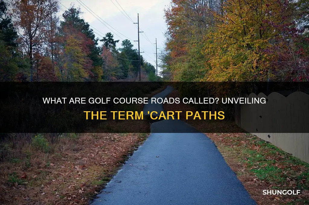 what are the roads on golf courses called