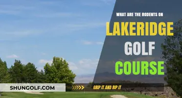 Identifying Rodent Species at Lakeridge Golf Course: A Wildlife Overview