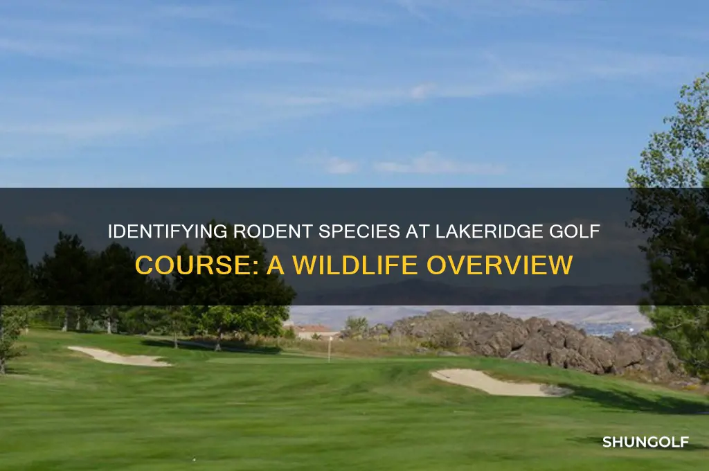 what are the rodents on lakeridge golf course