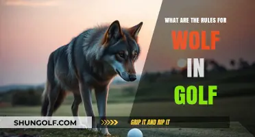 Understanding Wolf Golf Rules: Strategies and Gameplay Explained