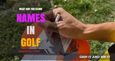Understanding Golf Score Names: From Birdie to Albatross and Beyond