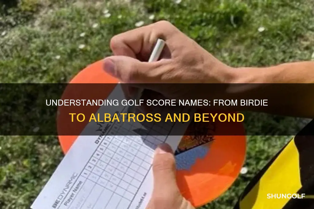 what are the score names in golf