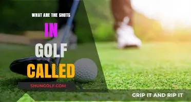 Exploring the Lexicon of Golf: A Guide to Essential Shots