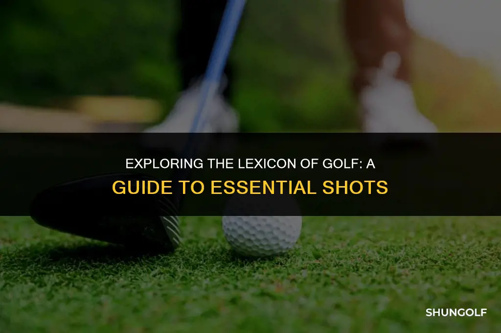 what are the shots in golf called