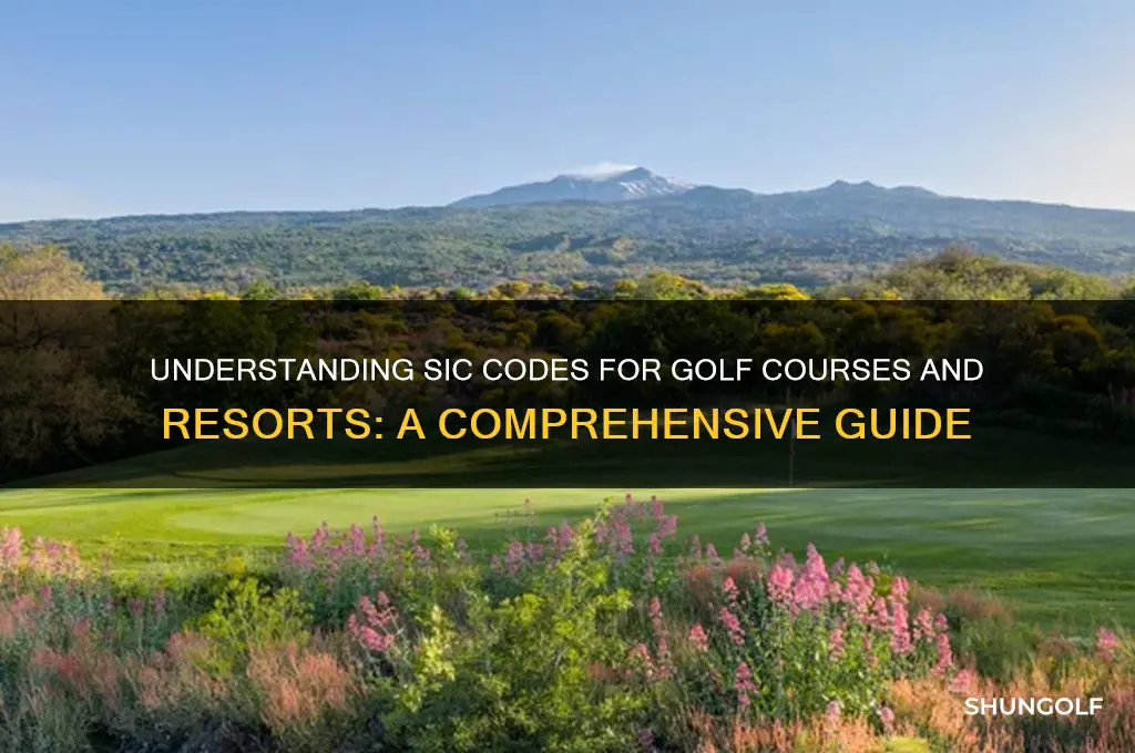 what are the sic codes for golf courses or resorts