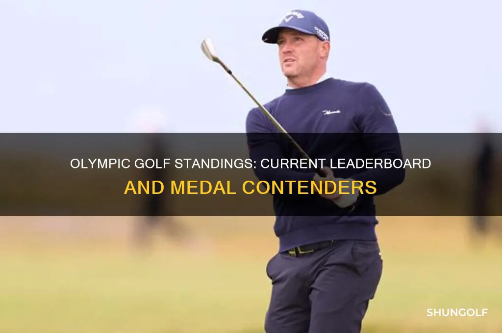 what are the standings in olympic golf