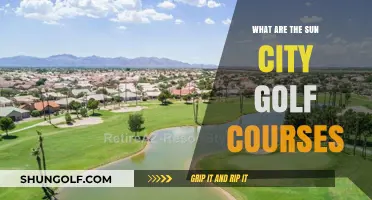 Exploring Sun City's Premier Golf Courses: A Golfer's Paradise