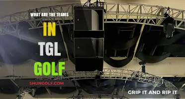 Meet the Teams Competing in the TGL Golf League