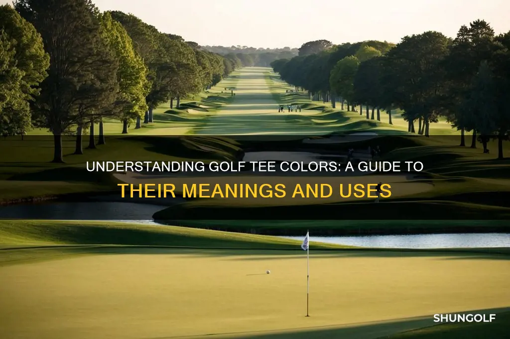 what are the tee colors in golf