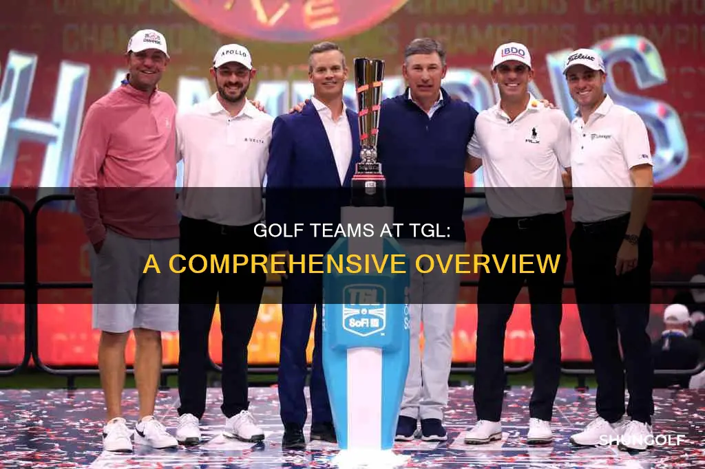 what are the tgl golf teams
