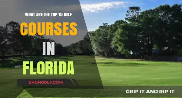 Florida's Premier Golf Courses: Top 10 Must-Play Destinations