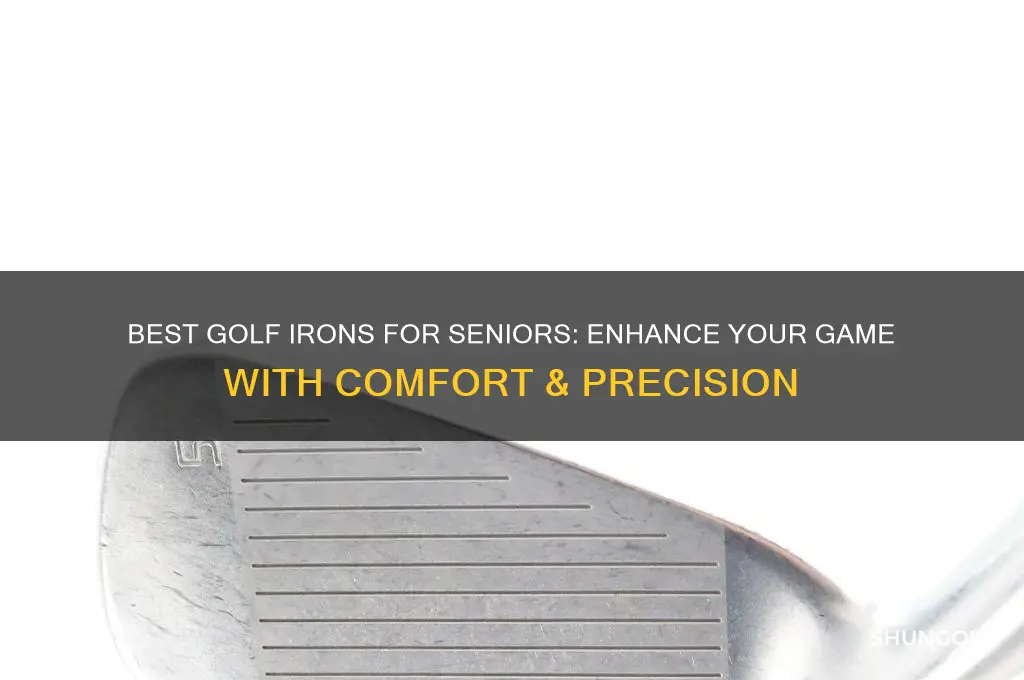 what are the top golf irons for seniors