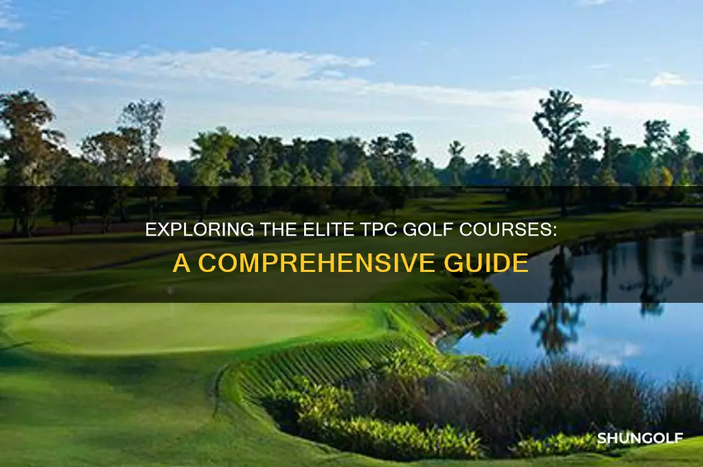 what are the tpc golf courses