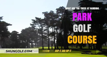 Exploring the Majestic Trees of Harding Park Golf Course