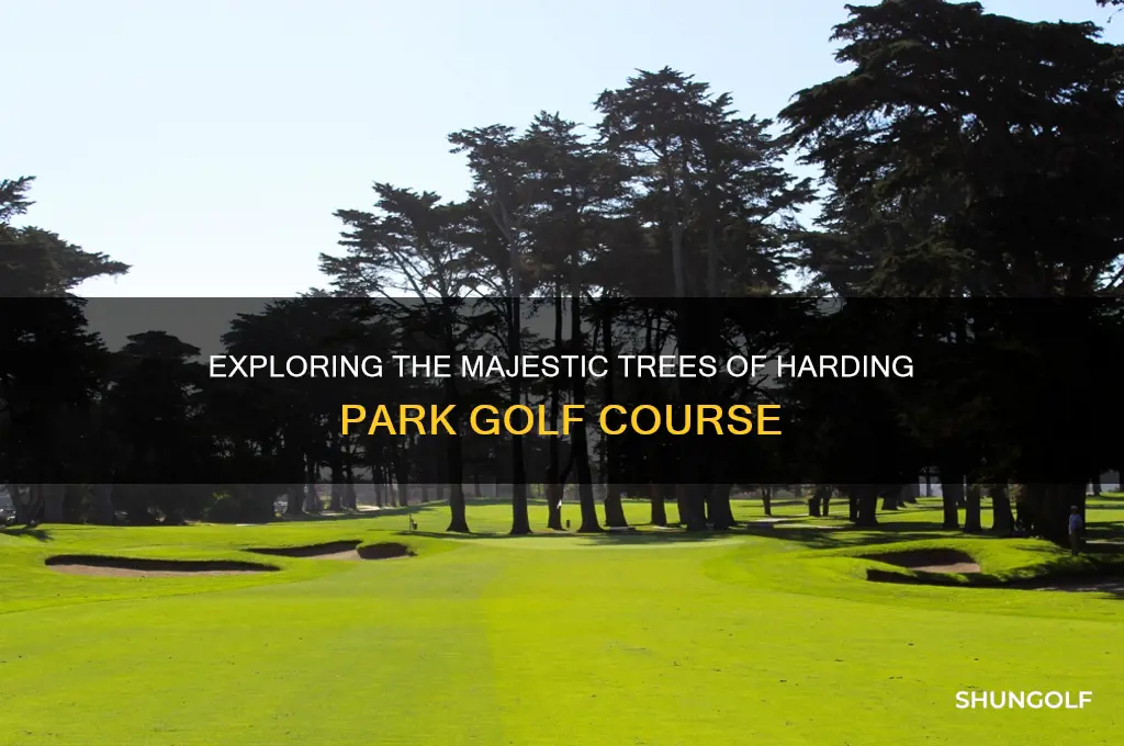 what are the trees at harding park golf course