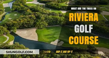 Exploring the Majestic Trees of Riviera Golf Course: A Guide