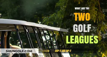 Golf Leagues: Understanding the PGA and the LIV