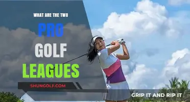 Exploring the Two Major Professional Golf Leagues: A Comprehensive Guide