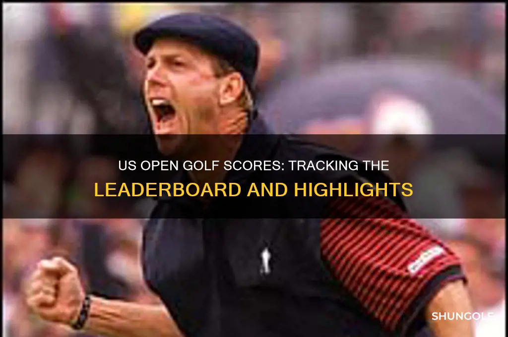 what are the us open golf scores