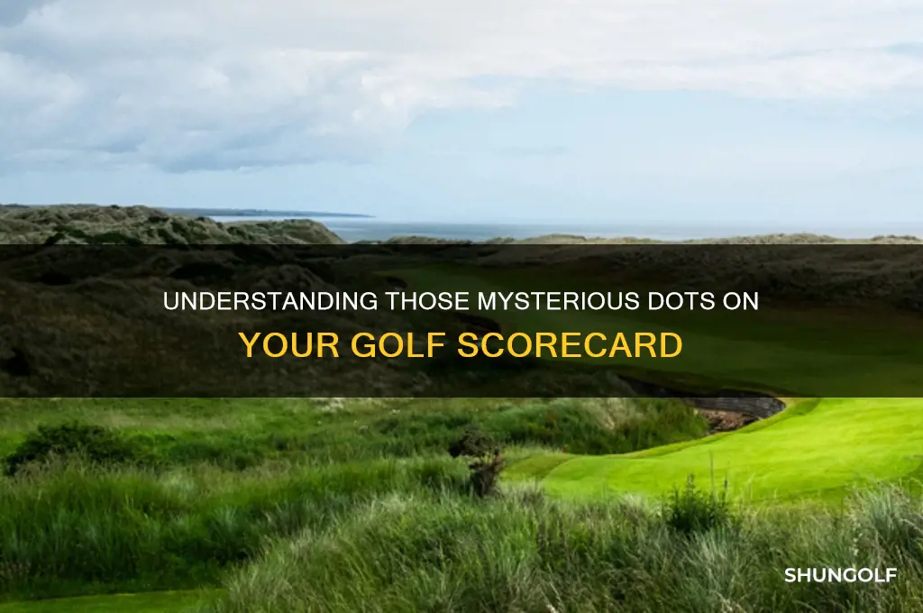 what are those dots on my golf score