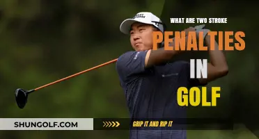 Understanding Two-Stroke Penalties in Golf: Rules, Causes, and Prevention