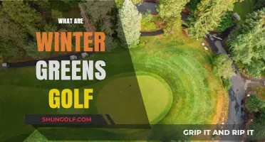 Golfing Winter Greens: A Smart Strategy for Year-Round Play