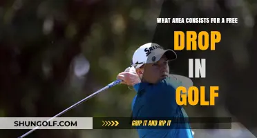 Exploring the Ideal Area for Free Drop in Golf
