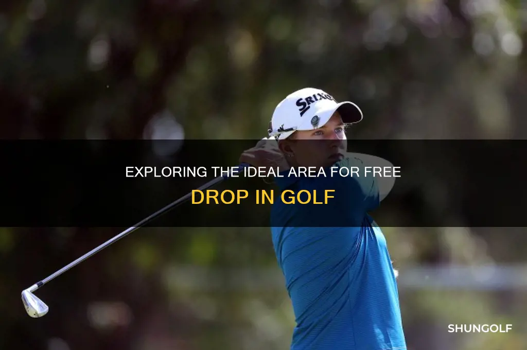 what area consists for a free drop in golf
