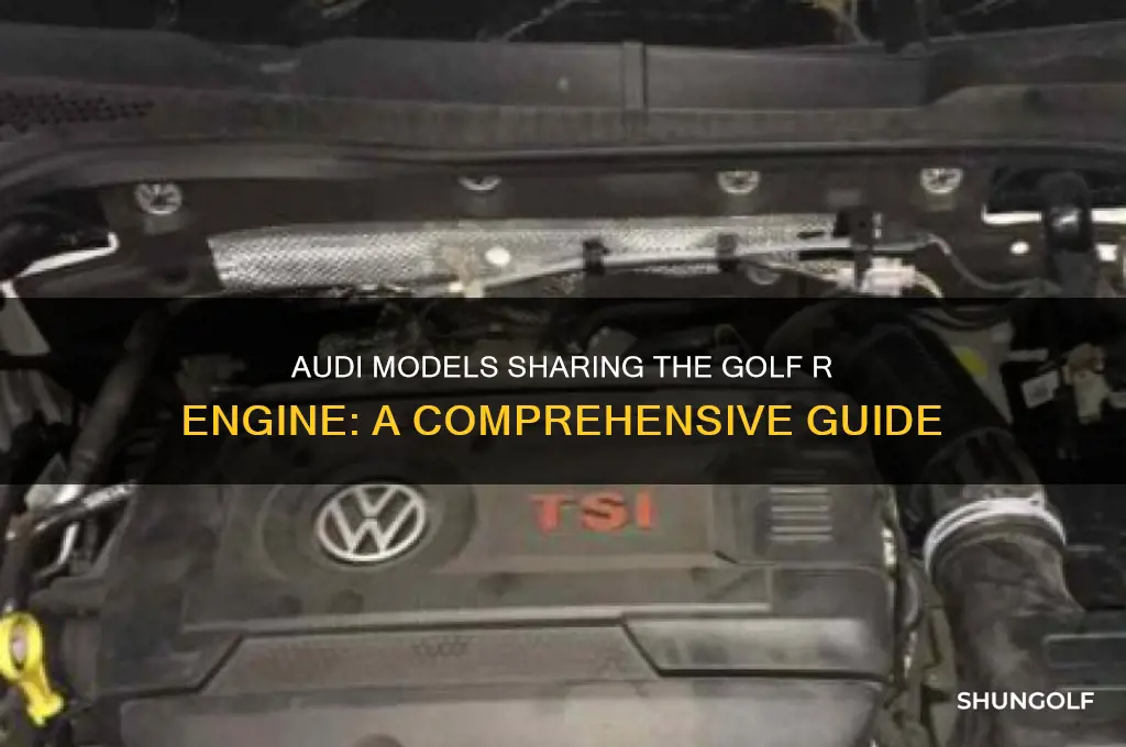 what audis have the golf r motor