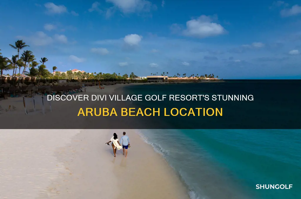 what beach is divi village golf and beach resort on