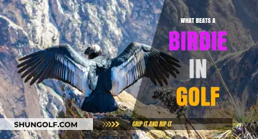 Eagle Soars Over Birdie: Golf Scores Explained