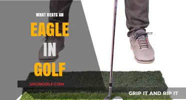 How to Beat an Eagle: Golf Strategies