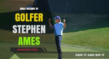 Where is Stephen Ames Now?