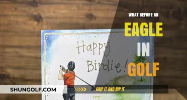 Golfing Glory: The Rare Albatross
