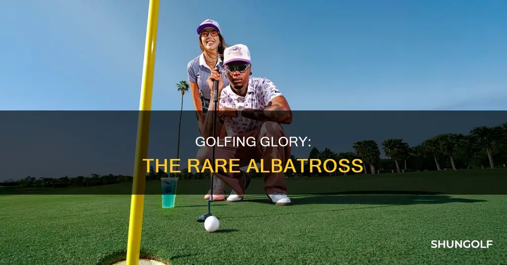 what before an eagle in golf
