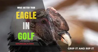 Golf's Rare Occurrences: Better Scores Than an Eagle