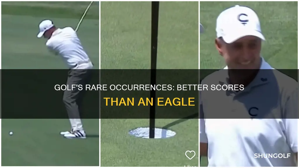 what better than eagle in golf