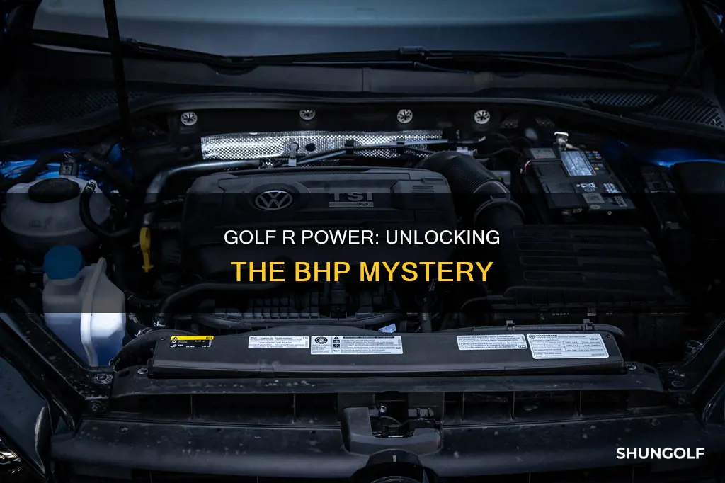 what bhp is a golf r