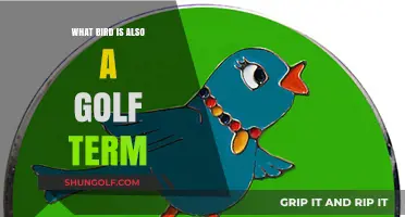 Birdie Basics: Uncovering the Golf Term Linked to a Feathered Friend