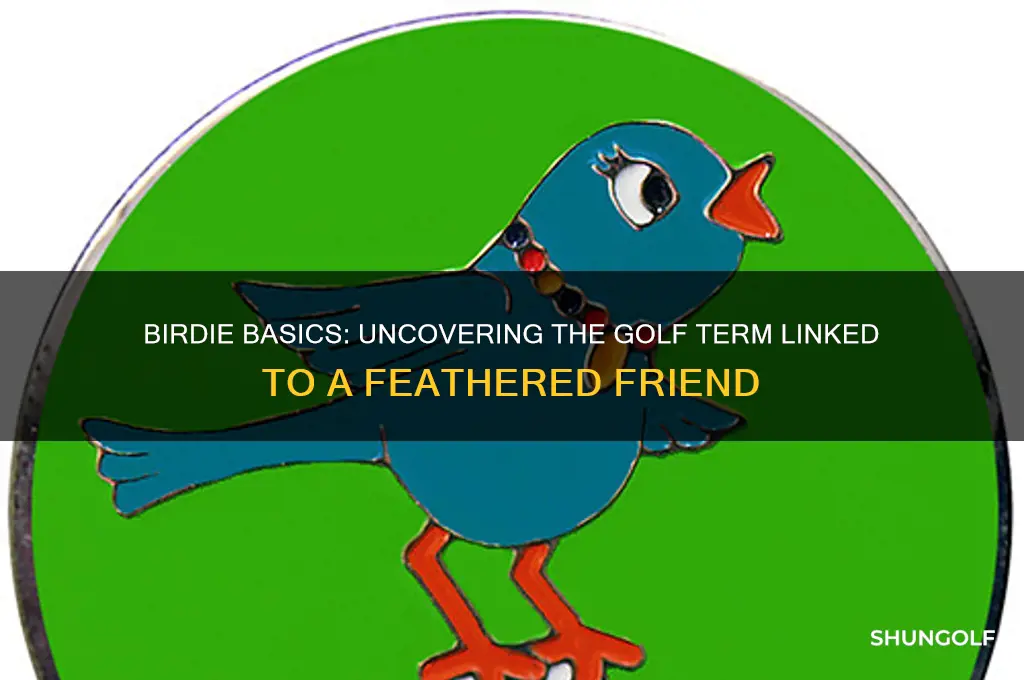what bird is also a golf term