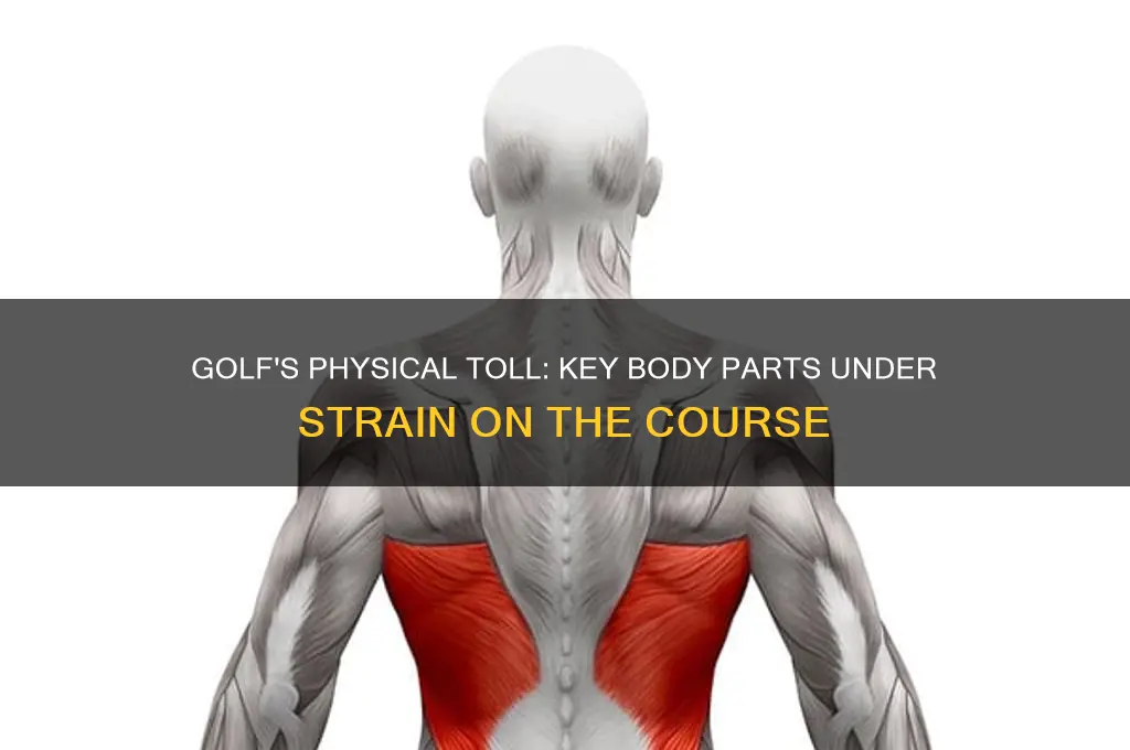 what body parts does golf pur alot of strain on