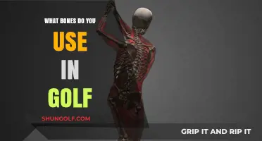 Swing into Action: The Essential Bones for a Perfect Golf Game