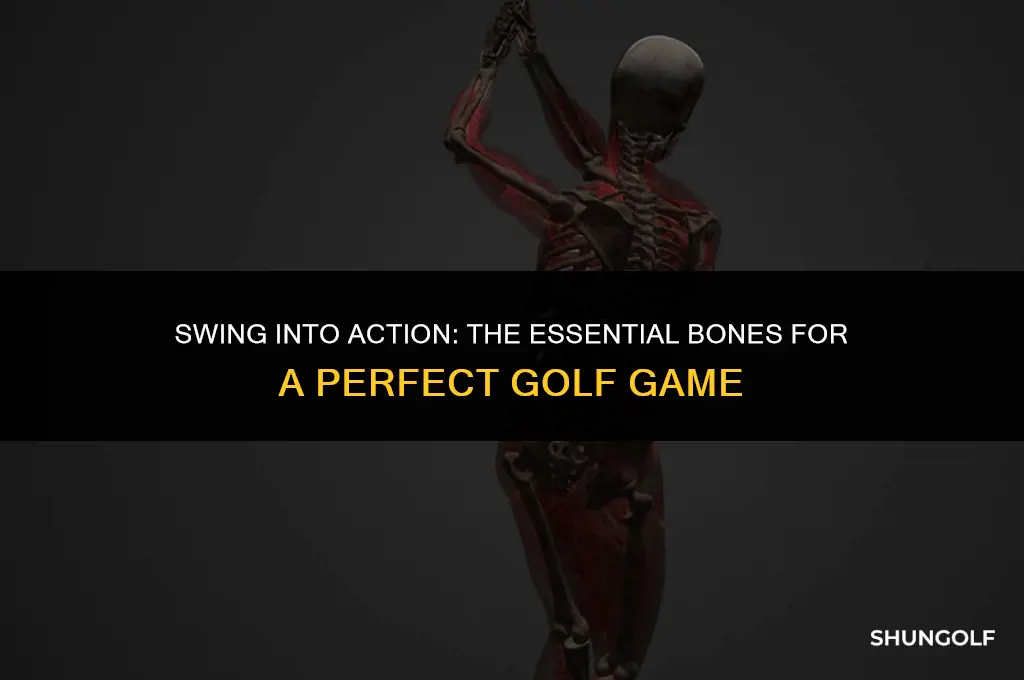 what bones do you use in golf