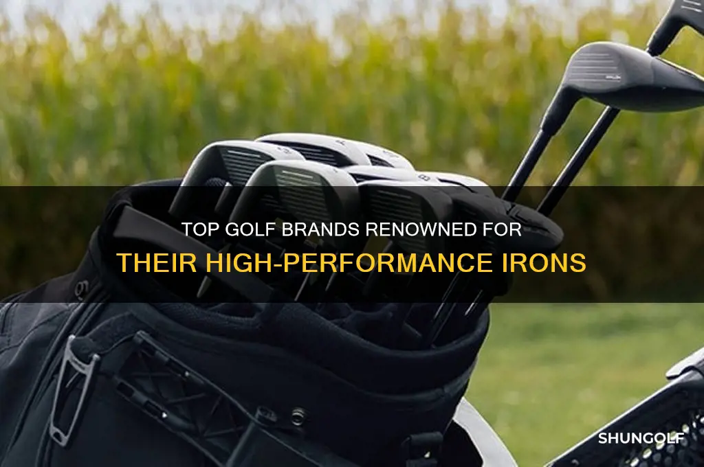 what brand in golf are known for their irons
