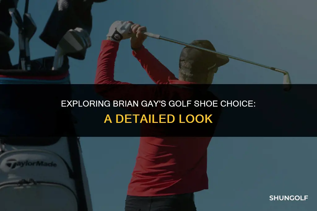 what brand of golf shoes is brian gay wearing