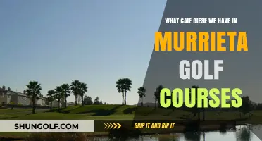 Exploring Murrieta's Golf Courses: Amenities, Greens, and Unique Features