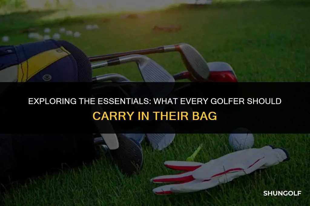what can you carry in golf bag