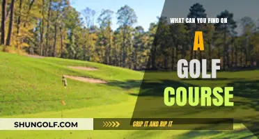 Exploring the Greens: Surprising Finds on a Golf Course